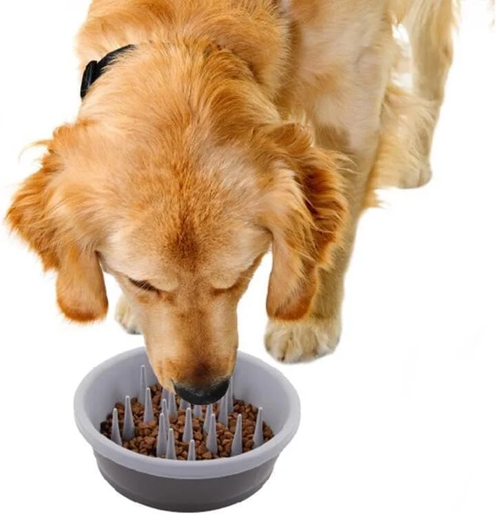 Close up of silicone spikes in the slow feeder bowl