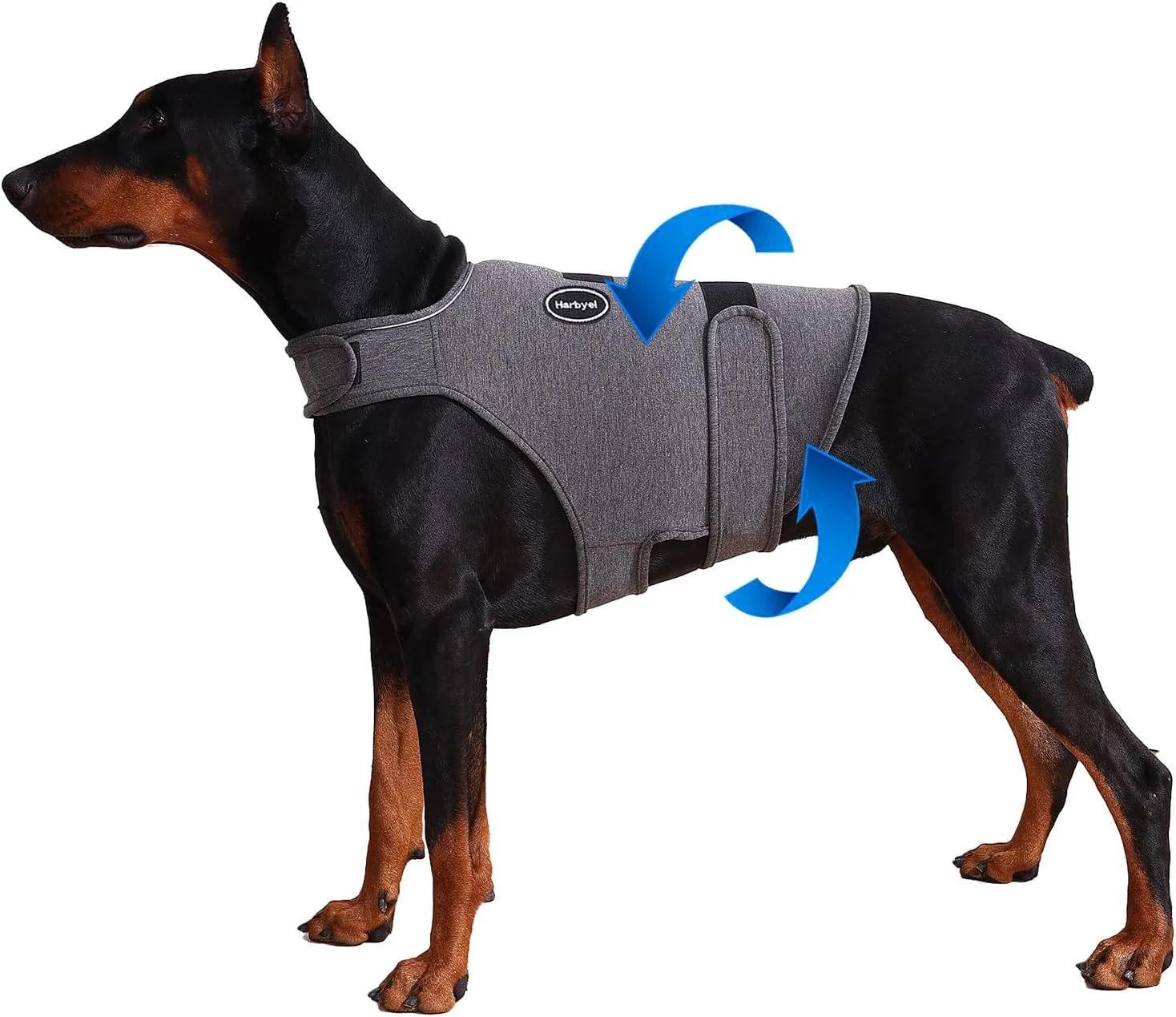 Dog wearing Harbyel calming vest during a thunderstorm