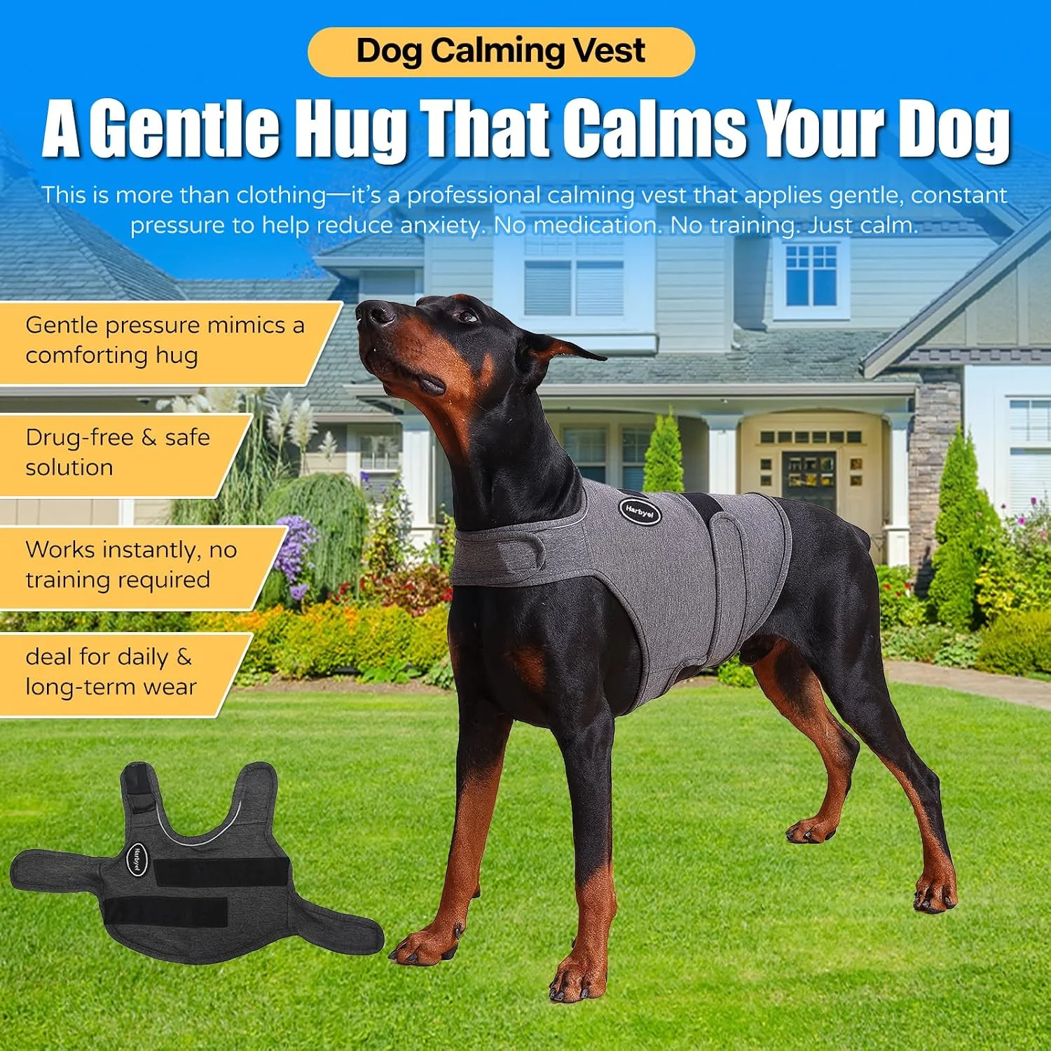 Dog playing comfortably while wearing the anxiety jacket