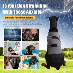 Dog Anxiety Vest - Skin-Friendly Calming Shirt for Thunder, Fireworks, Vet Visits & Separation Anxiety – No Medicine or Training Needed – Suitable for Small, Medium, and Large Dogs view 5