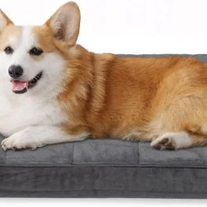 Dog Bed for Medium Dog - Orthopedic Pet Beds with Memory Foam, Waterproof Removable Washable Cover with Non-Slip Bottom, Grey, 30" L x 20" W x 3" H view 1