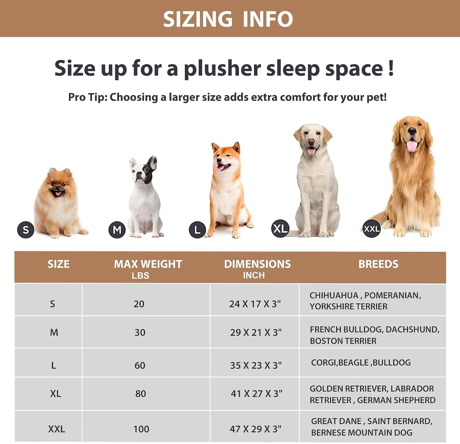 Non-slip bottom feature for dog bed