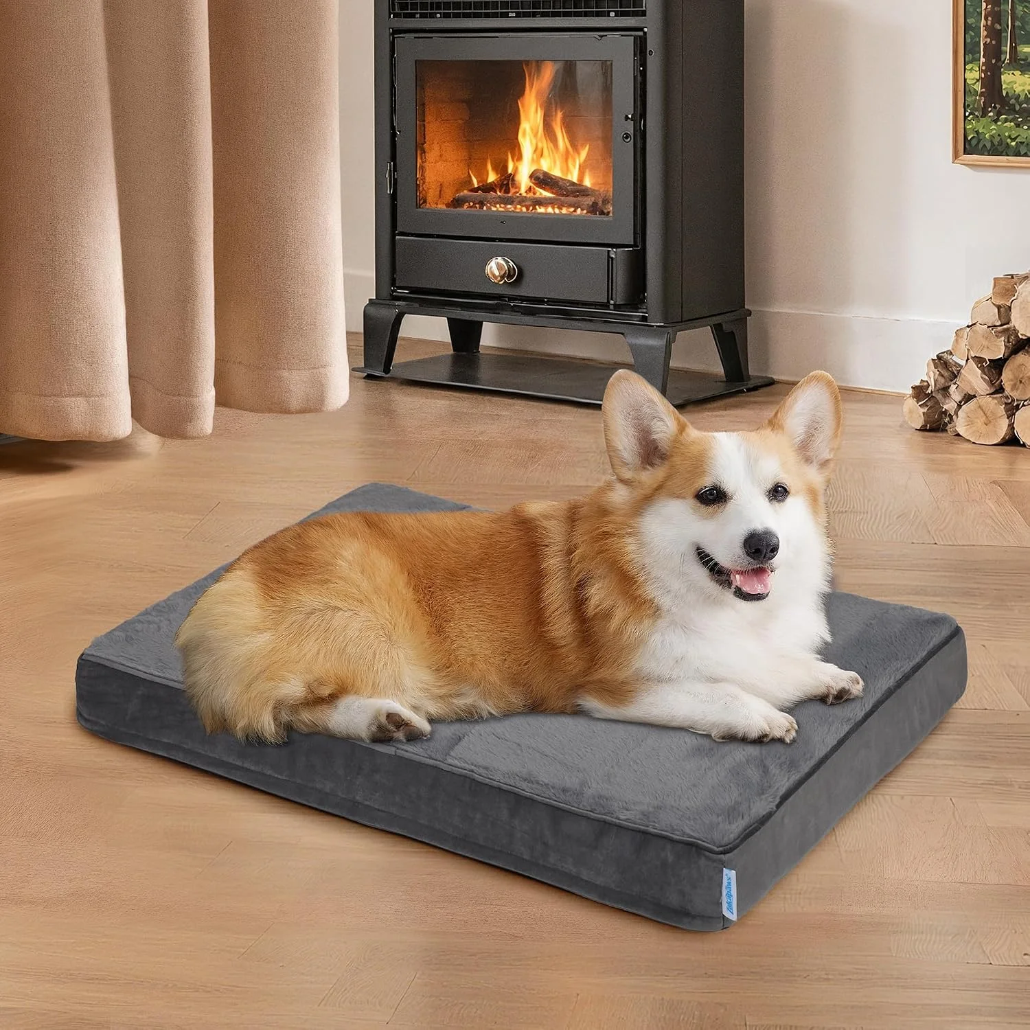 Happy dog sleeping on ZAKAPAWS bed