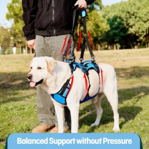 Dog Lift Harness for Large Dogs, Full Body Support Sling with 3 Handles and Shoulder Strap, Carrying Vest for Senior Dogs with Arthritis or Joint Injuries, Stairs Assistance, Blue, X-Large view 2