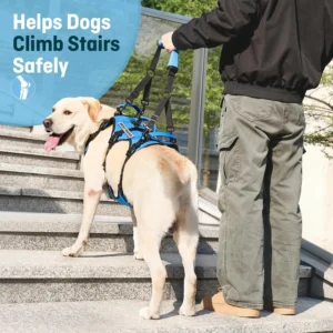 Dog Lift Harness for Large Dogs, Full Body Support Sling with 3 Handles and Shoulder Strap, Carrying Vest for Senior Dogs with Arthritis or Joint Injuries, Stairs Assistance, Blue, X-Large view 3