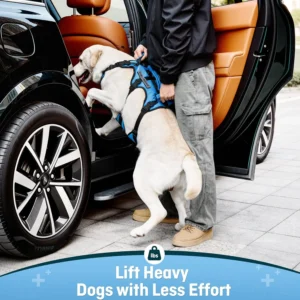 Dog Lift Harness for Large Dogs, Full Body Support Sling with 3 Handles and Shoulder Strap, Carrying Vest for Senior Dogs with Arthritis or Joint Injuries, Stairs Assistance, Blue, X-Large view 4