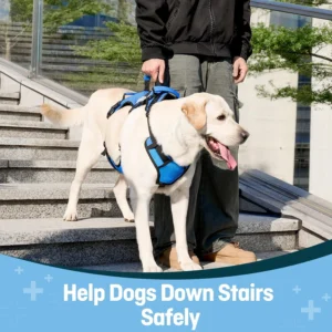 Dog Lift Harness for Large Dogs, Full Body Support Sling with 3 Handles and Shoulder Strap, Carrying Vest for Senior Dogs with Arthritis or Joint Injuries, Stairs Assistance, Blue, X-Large view 5