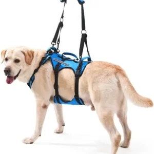 Dog Lift Harness for Large Dogs, Full Body Support Sling with 3 Handles and Shoulder Strap, Carrying Vest for Senior Dogs with Arthritis or Joint Injuries, Stairs Assistance, Blue, X-Large view 7
