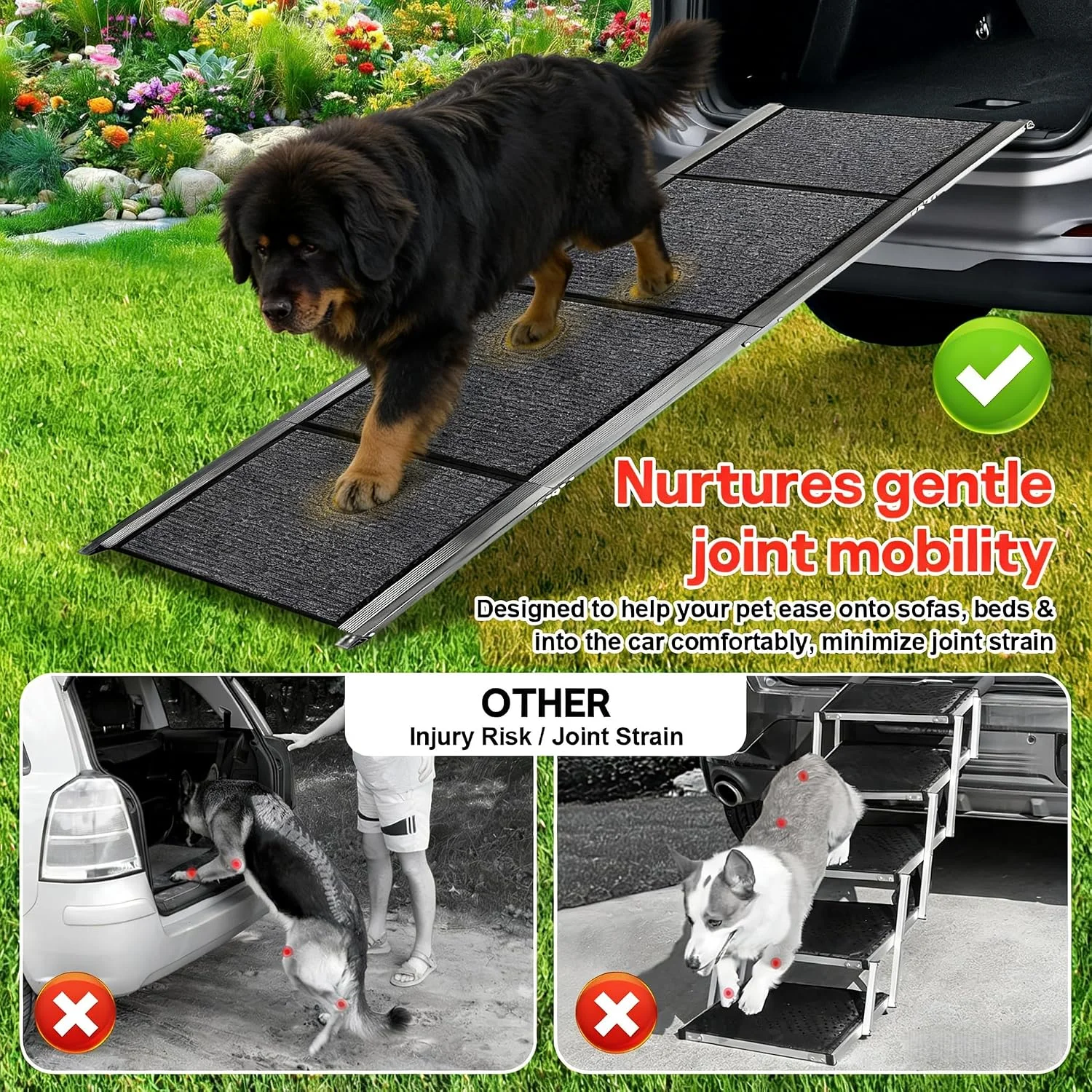 Large dog safely walking on a wide 20-inch non-slip ramp
