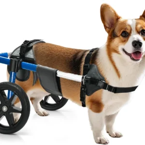 Dog Wheelchair for Back Legs – Adjustable Dog Wheelchair, Aluminum Frame with Padded Harness, All-Terrain Wheels for Medium Dogs, Corgi Dachshund Mobility Support Cart for Back Legs view 1