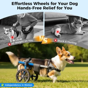 Dog Wheelchair for Back Legs – Adjustable Dog Wheelchair, Aluminum Frame with Padded Harness, All-Terrain Wheels for Medium Dogs, Corgi Dachshund Mobility Support Cart for Back Legs view 2