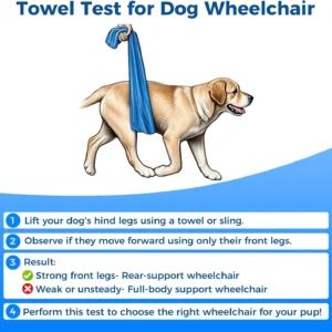Dog Wheelchair for Back Legs – Adjustable Dog Wheelchair, Aluminum Frame with Padded Harness, All-Terrain Wheels for Medium Dogs, Corgi Dachshund Mobility Support Cart for Back Legs view 7
