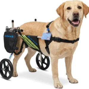 Dog Wheelchair for Back Legs, Lightweight Aluminum Adjustable Wheelchair for Dogs with Reflective Storage Bag Wheels, Professional Dog Walker Outdoor Stroller for Disabled Pets view 1