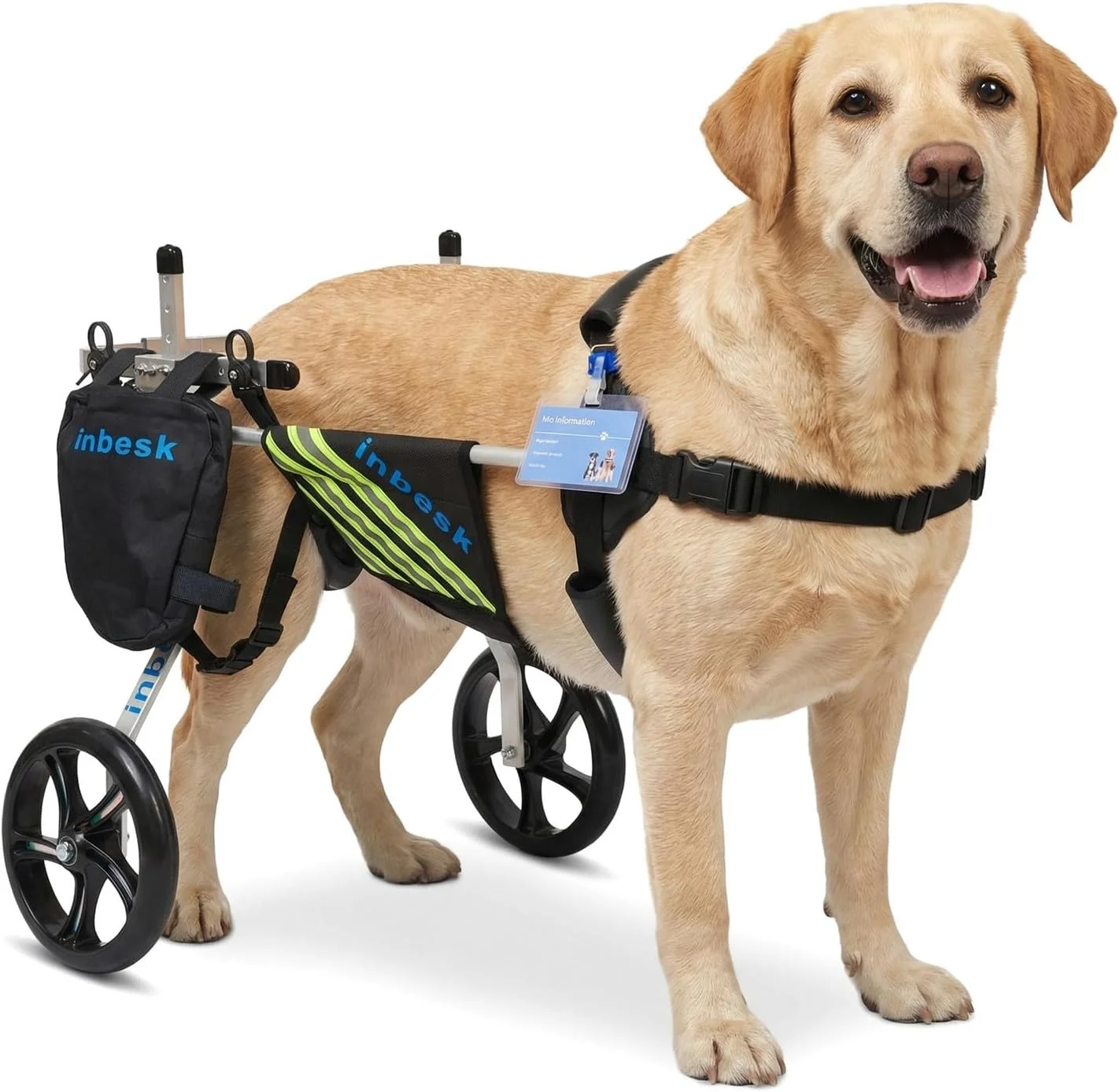 Happy senior dog using the premium mobility wheelchair outdoors