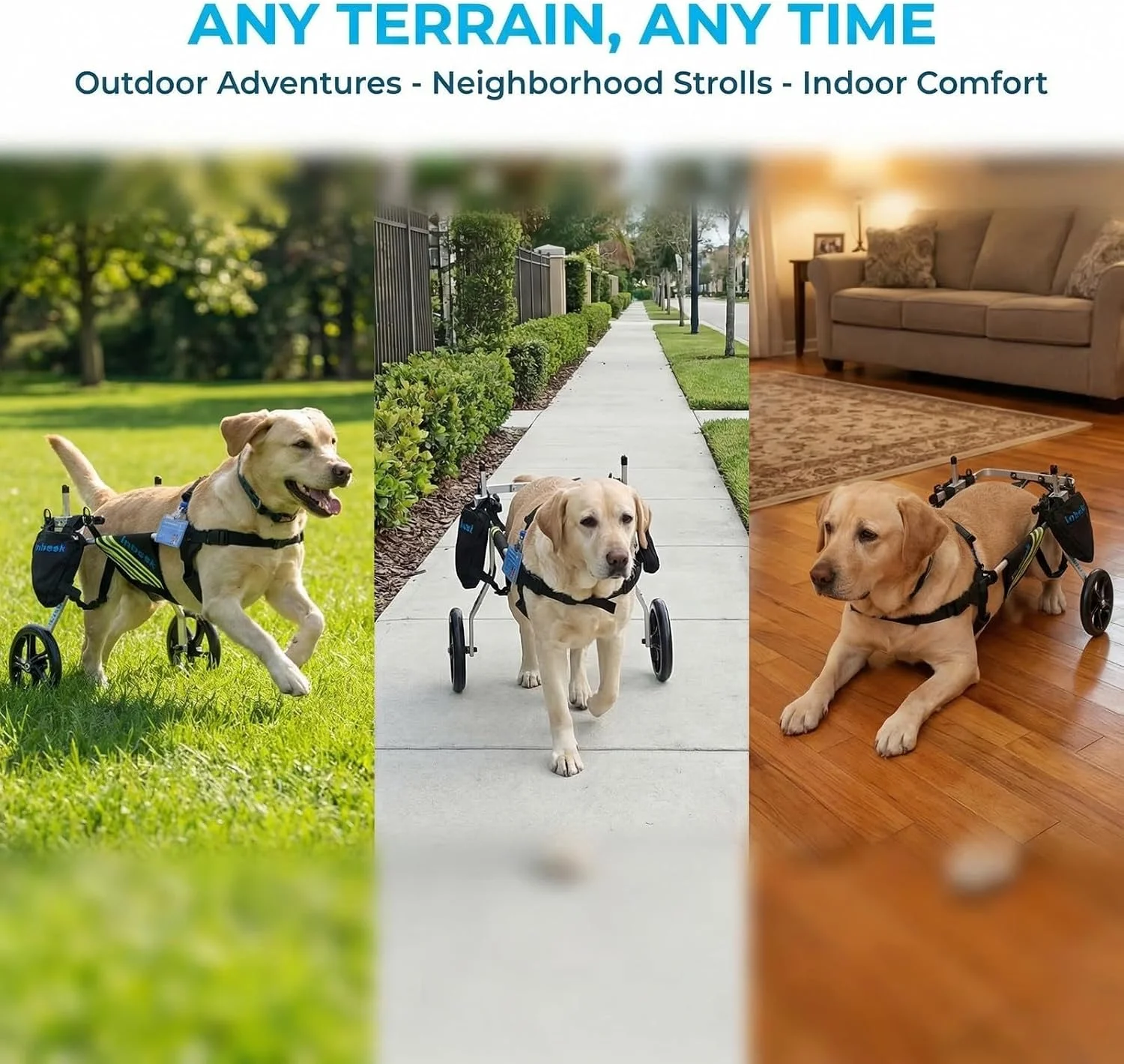 Soft harness and padding for maximum pet comfort