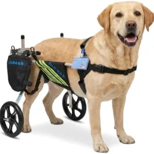 Dog Wheelchair for Back Legs, Lightweight Aluminum Adjustable Wheelchair for Dogs with Reflective Storage Bag Wheels, Professional Dog Walker Outdoor Stroller for Disabled Pets view 7