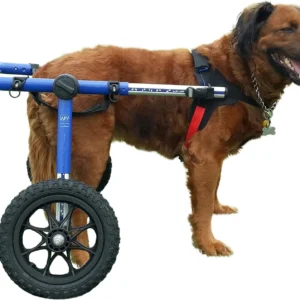 Dog Wheelchair - for Large Dogs 70-180 Pounds - Veterinarian Approved - Dog Wheelchair for Back Legs view 1