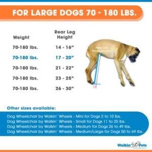 Dog Wheelchair - for Large Dogs 70-180 Pounds - Veterinarian Approved - Dog Wheelchair for Back Legs view 2