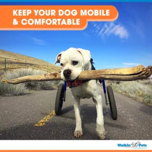 Dog Wheelchair - for Large Dogs 70-180 Pounds - Veterinarian Approved - Dog Wheelchair for Back Legs view 3