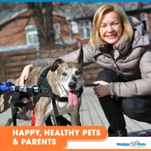 Dog Wheelchair - for Large Dogs 70-180 Pounds - Veterinarian Approved - Dog Wheelchair for Back Legs view 4