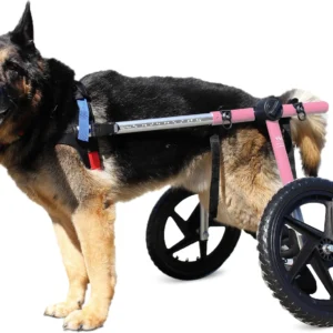 Dog Wheelchair - for Large Dogs 70-180 Pounds - Veterinarian Approved - Dog Wheelchair for Back Legs view 6