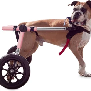 Dog Wheelchair - for Large Dogs 70-180 Pounds - Veterinarian Approved - Dog Wheelchair for Back Legs