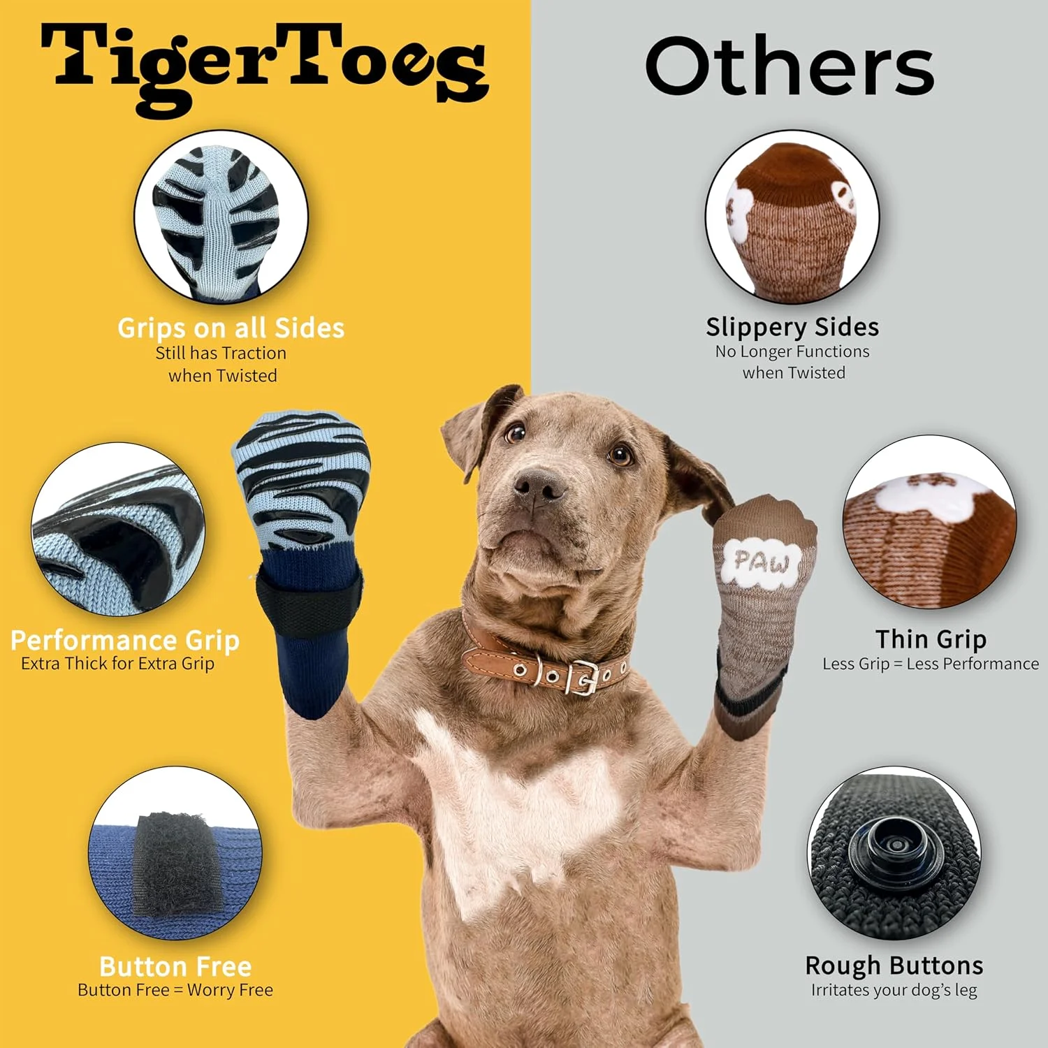 Dog enjoying a walk outside wearing protective socks