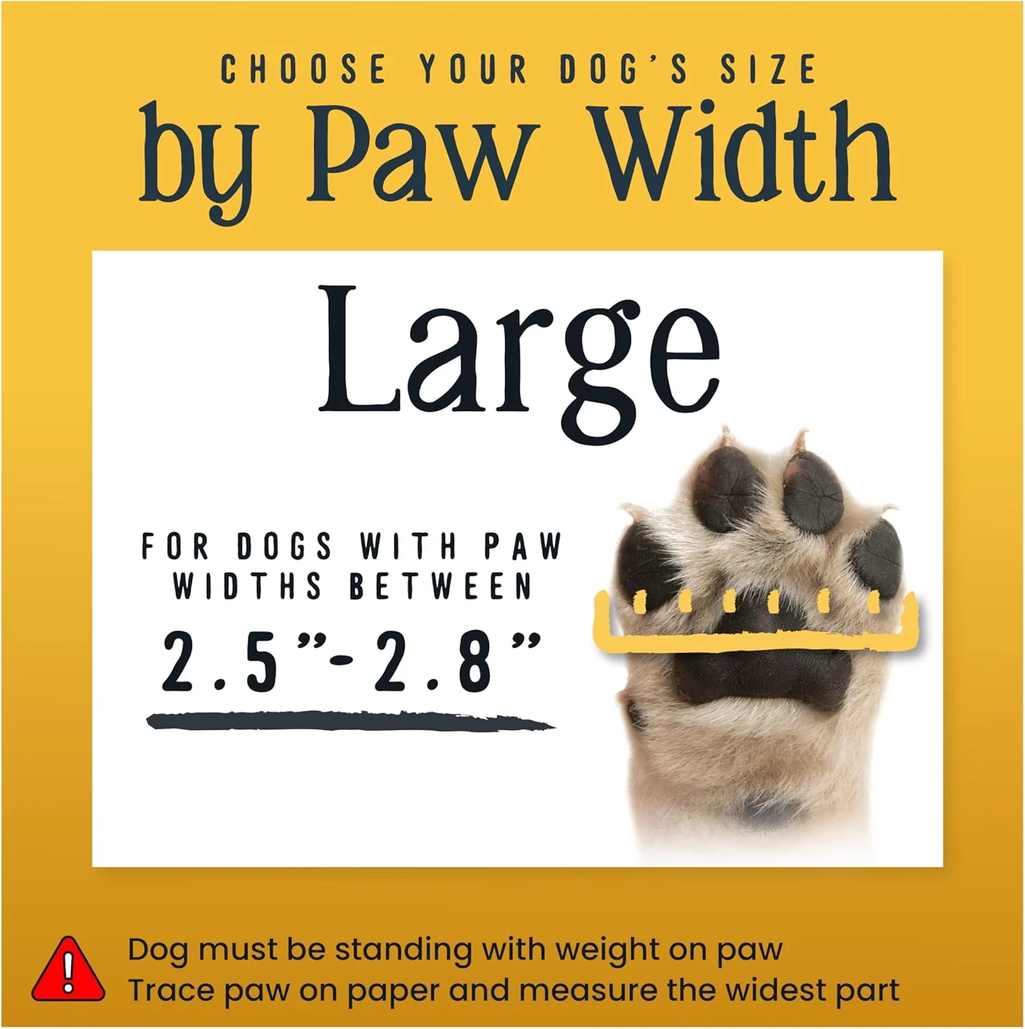 Instructions for measuring dog paws