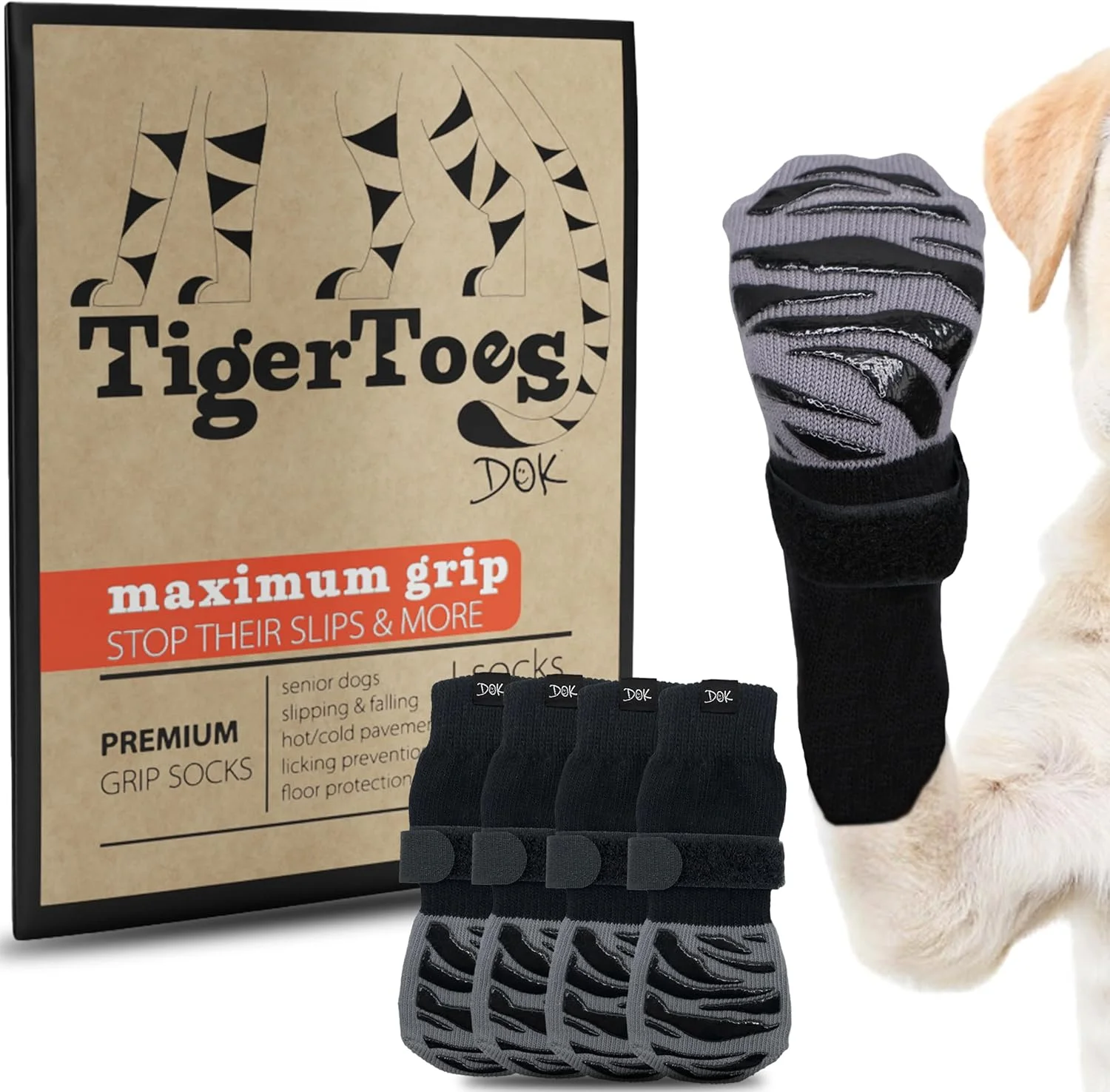 Senior dog walking confidently on hardwood floors wearing DOK TigerToes