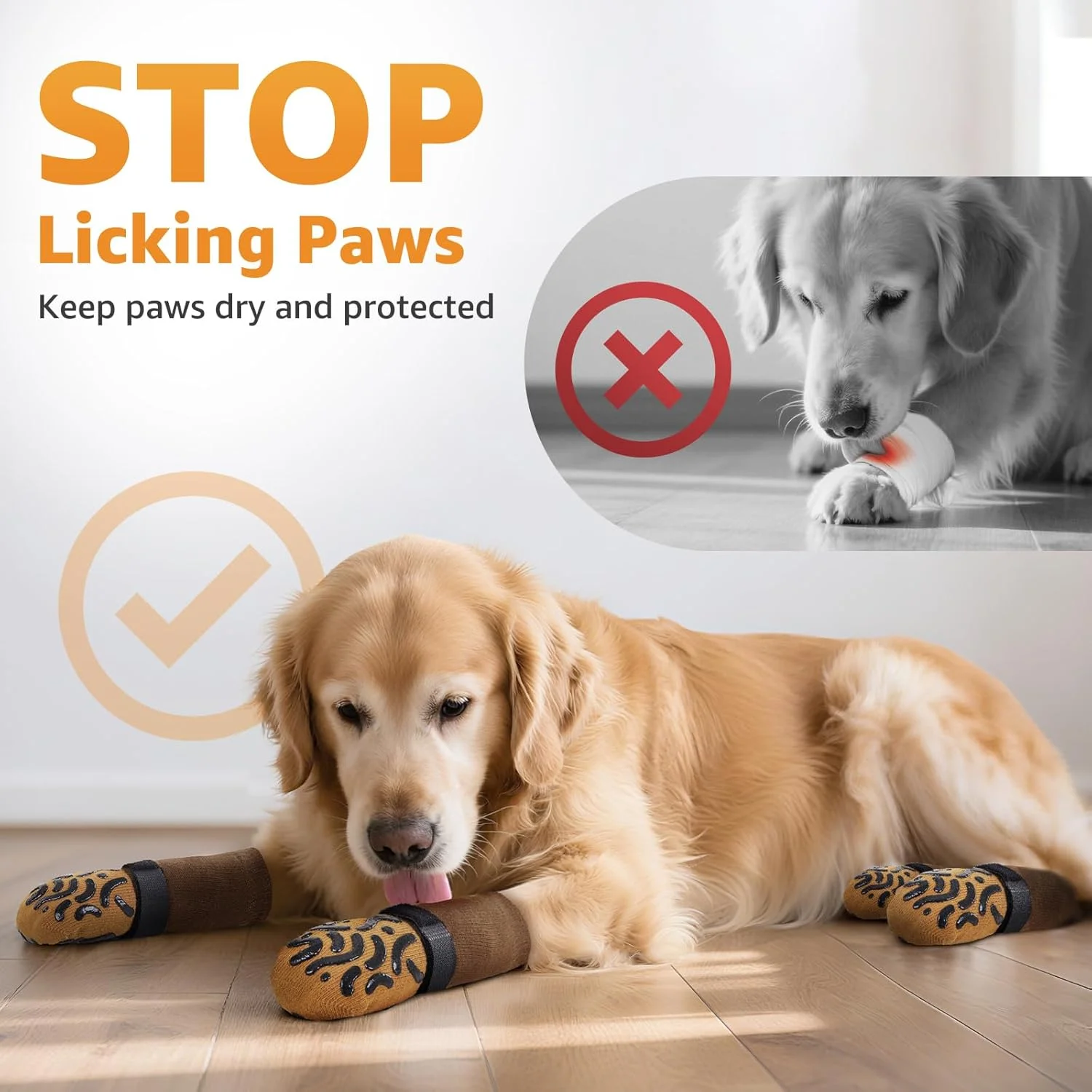 Dog wearing socks to prevent paw licking