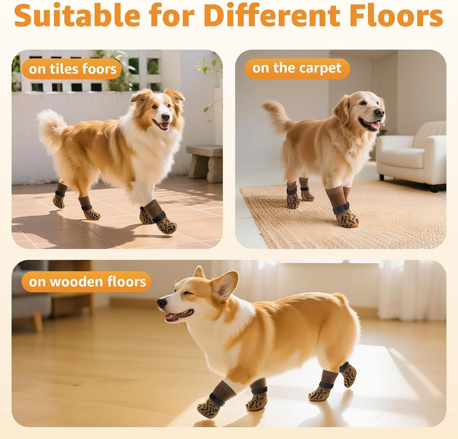 Dog wearing socks outside on a patio