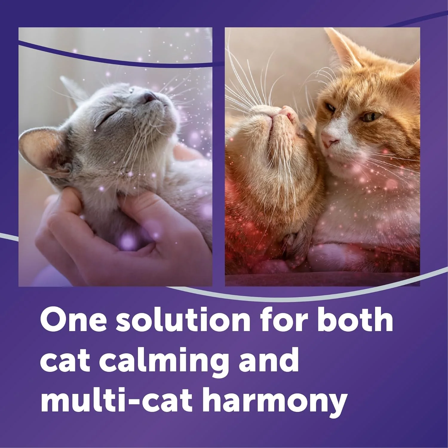 FELIWAY Optimum pheromone technology explained