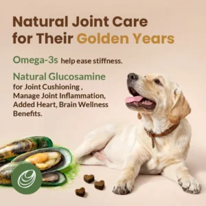 Get Naked Biteables Daily Soft Dog Treats for Senior Health, Made with Real Chicken and New Zealand Green-Lipped Mussel, Functional Soft Chews for Senior Dogs, Grain-Free, 6oz view 6
