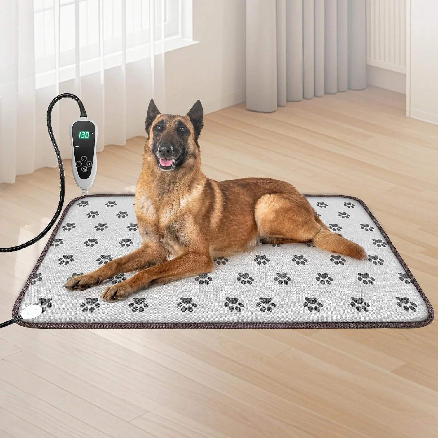 Senior dog resting comfortably on a GOLOPET heating pad