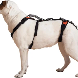 Help 'Em Up® - Dog Lift Harness│ Adjustable Lifting Harness for Dogs │ Full Body Support, Rear Leg Support (Conventional, Medium, 45-80 lbs) view 1