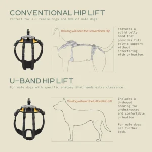 Help 'Em Up® - Dog Lift Harness│ Adjustable Lifting Harness for Dogs │ Full Body Support, Rear Leg Support (Conventional, Medium, 45-80 lbs) view 2