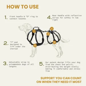 Help 'Em Up® - Dog Lift Harness│ Adjustable Lifting Harness for Dogs │ Full Body Support, Rear Leg Support (Conventional, Medium, 45-80 lbs) view 3