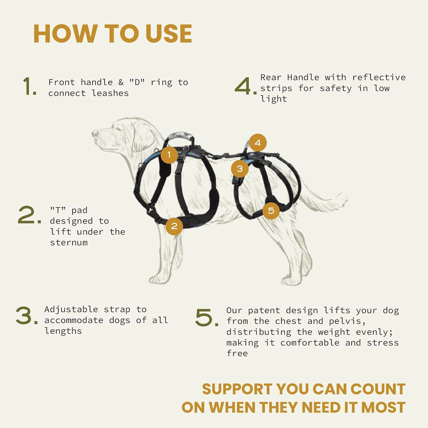 Owner helping dog up stairs with harness