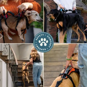 Help 'Em Up® - Dog Lift Harness│ Adjustable Lifting Harness for Dogs │ Full Body Support, Rear Leg Support (Conventional, Medium, 45-80 lbs) view 6