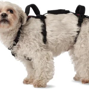 Help 'Em Up® - Dog Lift Harness│ Adjustable Lifting Harness for Dogs │ Full Body Support, Rear Leg Support (Conventional, Medium, 45-80 lbs) view 7