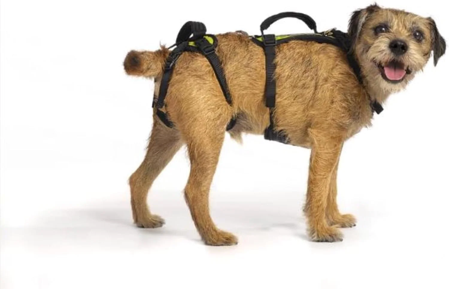 Help 'Em Up® - Dog Lift Harness│ Adjustable Lifting Harness for Dogs │ Full Body Support, Rear Leg Support (Conventional, Medium, 45-80 lbs)