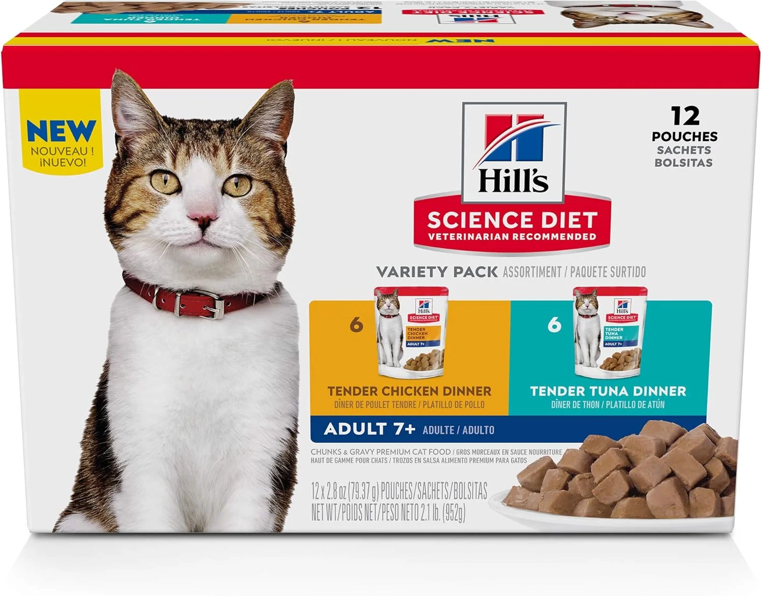 Happy senior cat eating healthy wet food
