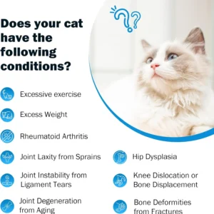 Joint Supplement for Cats - Glucosamine & Chondroitin Drops - Arthritis Relief for Senior Cats - Hip & Joint Care for Indoor Cat - Cat Supplements & Vitamins - 59ML view 2