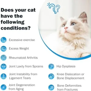 Joint Supplement for Cats - Glucosamine & Chondroitin Drops - Arthritis Relief for Senior Cats - Hip & Joint Care for Indoor Cat - Cat Supplements & Vitamins - 59ML