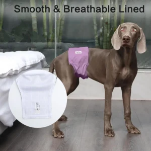JoyDaog Reusable Dog Belly Bands for Male Dogs Diapers,5 Pack Premium Washable Dog Diapers Male Puppy Nappies Wrap,S view 7