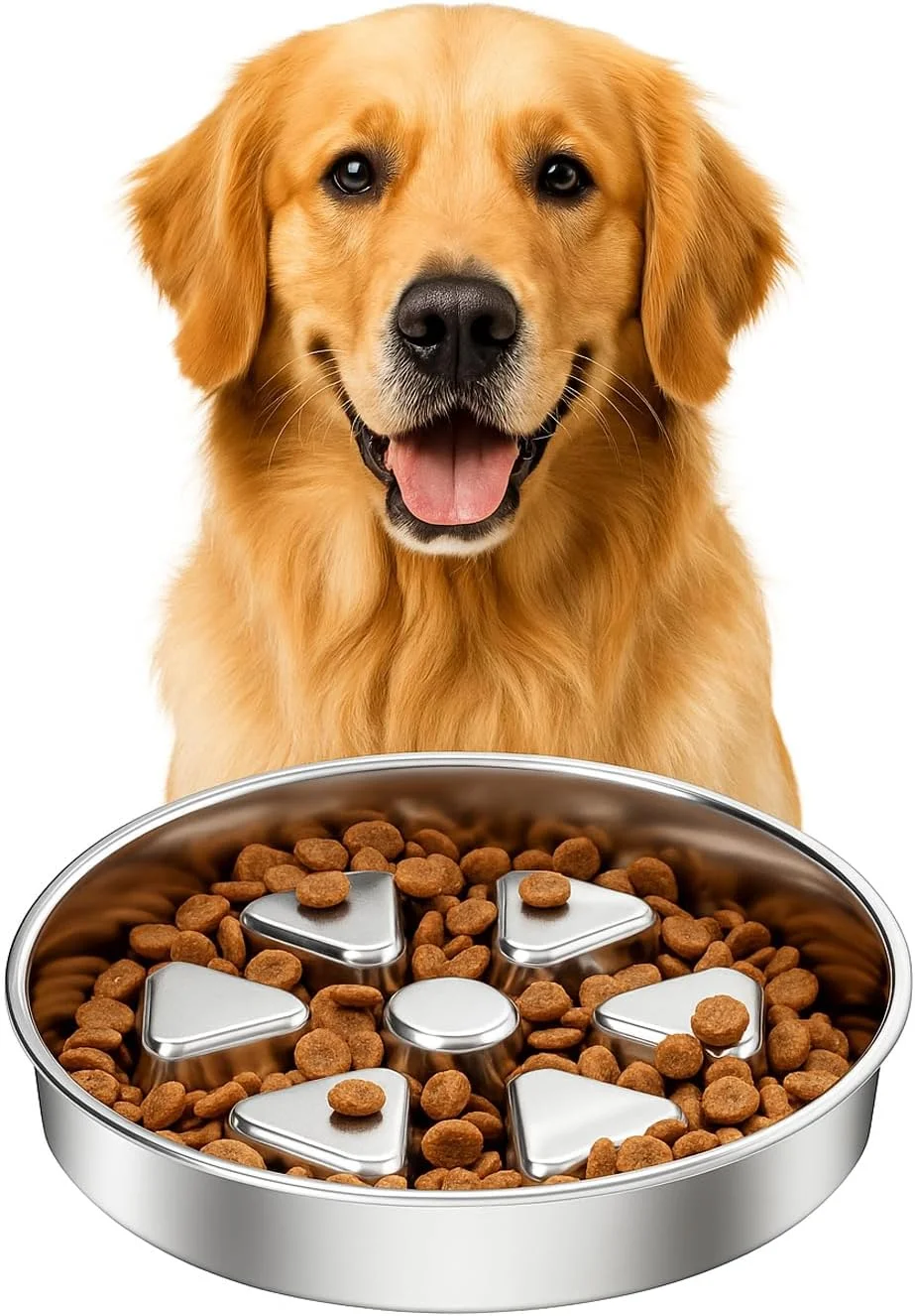 Large dog enjoying a meal from the Kactoily slow feeder bowl