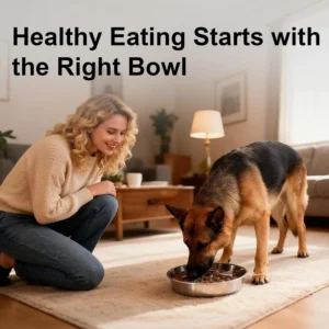 Kactoily 304 Stainless Steel Slow Feeder Dog Bowl, 2.5 Cups Non-Slip Pet Bowl, Raised Design for Slow Eating & Digestive Health - Perfect for Medium Large Dogs view 3