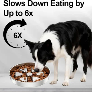 Kactoily 304 Stainless Steel Slow Feeder Dog Bowl, 2.5 Cups Non-Slip Pet Bowl, Raised Design for Slow Eating & Digestive Health - Perfect for Medium Large Dogs view 7