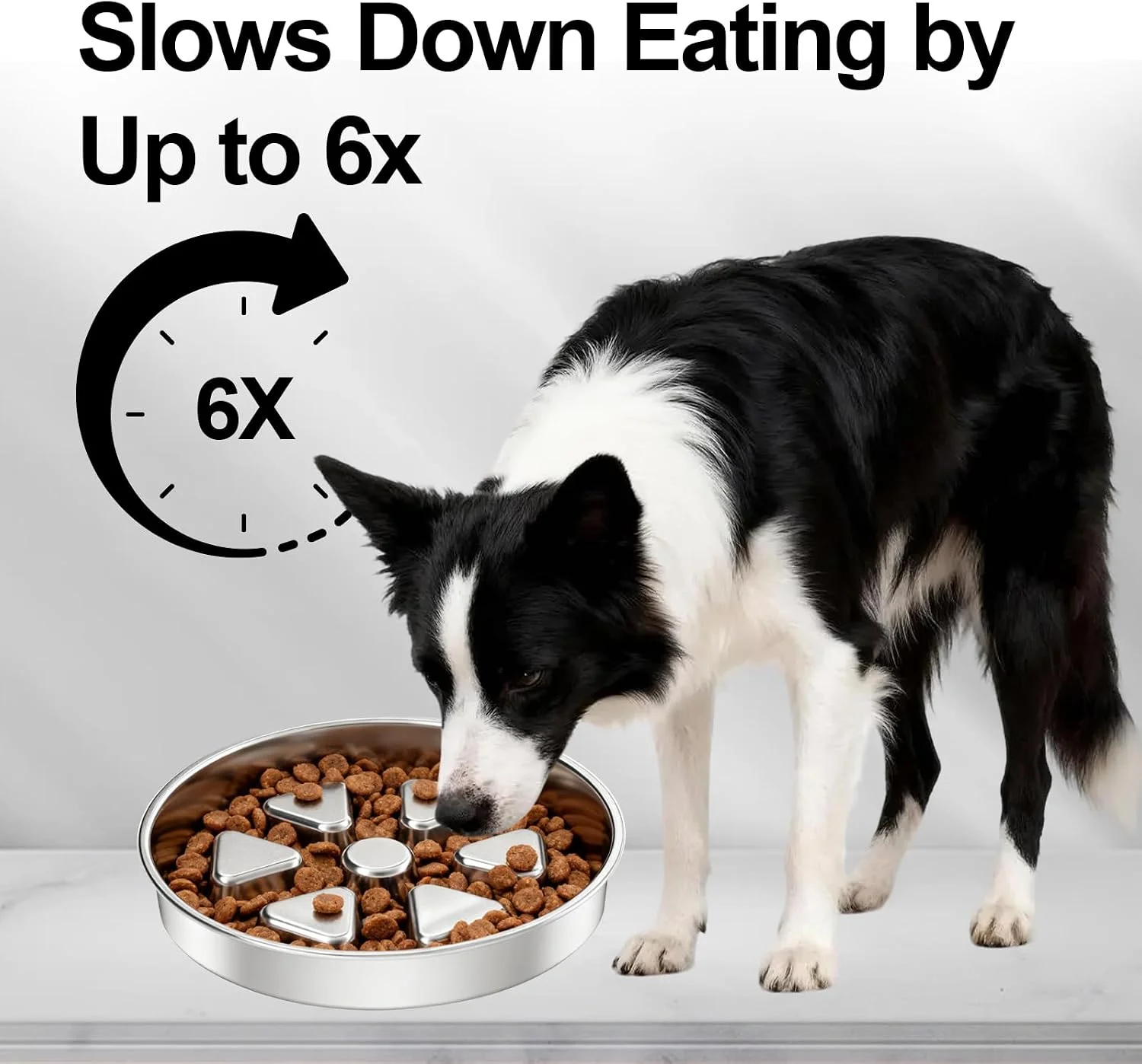 Happy dog after eating