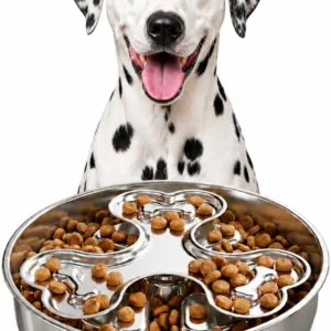 Kactoily 304 Stainless Steel Slow Feeder Dog Bowl, 2.5 Cups Non-Slip Pet Bowl, Raised Design for Slow Eating & Digestive Health - Perfect for Medium Large Dogs